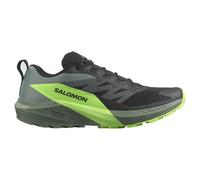Salomon Sense Ride 5 Trail Running Shoes Green,Black EU 42 Men