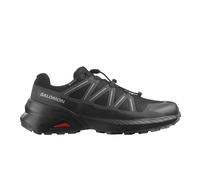 Salomon Hiking Shoes Speedcross Peak GORE-TEX Black Eclipse Men's 42(2/3)