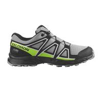 Salomon Speedcross Wp Hiking Shoes