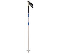 Salomon - Steep Pro S3 - Ski poles size 110 cm, rainy day /blue
