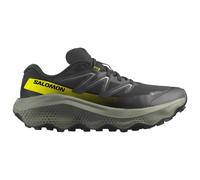 Salomon - Ultra Flow 2 Gore-Tex Black Sedona Sage Incaberry - 10 - Trail shoes
