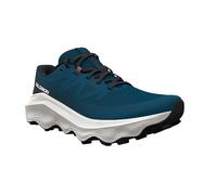 Salomon Ultra Flow 2, running shoes, men, black/gray EU44 / UK9,5