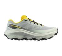 Salomon Ultra Flow 2 Trail Running Shoes Grey EU 43 1/3 Men