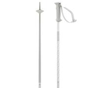 Salomon Unisex-Adult Polar Access Alpine Poles