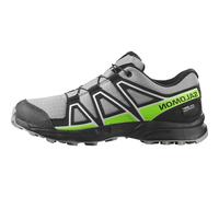 Salomon Speedcross Wp Hiking Shoes