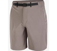 Salomon Wayfarer 2.0 Shorts Greyish Beige - L
