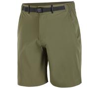 Salomon Wayfarer 2.0 Shorts Forest Green - S