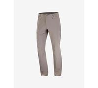 Salomon Wayfarer Trousers - Short Fit Light Brown - 50