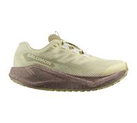 Salomon Aero Blaze 3 Grvl Goretex Running Shoes Beige EU 40 Women
