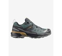 Salomon X Ultra 360 Gore-tex® Hiking Shoes Grey EU 43 1/3 Men