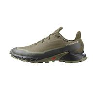 Salomon Men's Alphacross 5 Gore-tex Running Shoe, Olive Night Black Deep Lichen Green, 13.5 UK