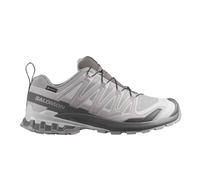 Salomon XA Pro 3D V9 GORE-TEX Men's Trail Running Shoes | UK 13.5 in Alloy/Castlerock/Lunar Rock
