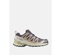 Salomon XA Pro 3D V9 Gore-Tex Trail Trainers Grey Mix