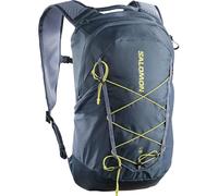 Salomon XT 15 Backpack, Spellbound/GRISAILLE/BRIGHT CHARTREUSE, One size