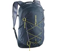 Salomon XT 25 Backpack, Spellbound/GRISAILLE/BRIGHT CHARTREUSE, One size