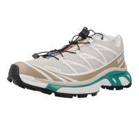Salomon XT-6 Shoes Rainy Day, Chinchilla, Dynasty Green L4764300, Tan, 11.5 UK