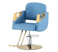 Salon Chair Heavy Duty for Stylist,Barber 360 Degree Swivel, Hydraulic Pump Hair Cutting, Beauty Spa Styling Hairdressing Tattoo Equipment,blue,Round disk A