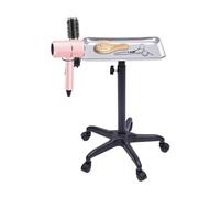 Salon Tattoo Work Rack Tray Mobile Workstation Tattoo Service Trolley Adjustable hairdressing trolley on wheels tattoo table rolling trays Hairdresser Tattoo Service Trolley Station (Silver)