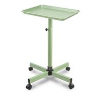 Salon Tray, Metal Feet Salon Tray Cart, Salon Color Tray with Adjustable Height, Salon Tray on Wheels, Salon Rolling Tray Ideal Use As Tattoo Tray, Medical Tray, Dental Tray