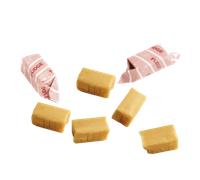 Salonline Fudge Vanille 2kg