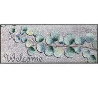 Salonloewe Shoe Parking Eucalyptus Welcome 030 x 075 cm Doormat Clean Mat Indoor Front Door Floor Mat Indoor Dirt Trapper Outdoor Washable