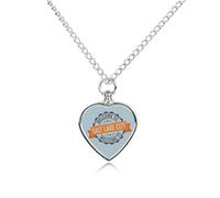Salt Lake City Pet Memorials Necklace Silver Funerary Ashes Heart Shaped Pendant for Dog Cat Lover