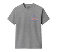 Salt Life Men's High Tides T-Shirt in Grey | Size: Large Salt Life Grey L