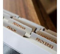 Salt & Light - Sand - Copper Foil - Matte Coated - Bible Index - Journaling - Beautiful Tabs - 66 Books + Extra - Indexing - Laminated - Durable - High Quality - Nuetral - Women &