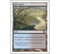 Salt Marsh | 8th Edition