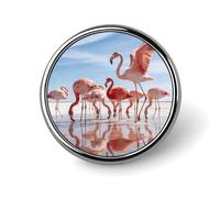 Salt Marsh Fireball Round Badge Metal Buttons Exquisite Round Badge Pin Button Parts Circular Fashion Classic Pin Holders Buttons for Shirts Clothes Brooch 1 Inch