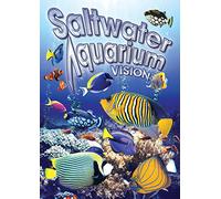 Salt Water Aquarium Vision