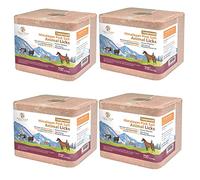 SALTEAN Compressed Himalayan Horses Lick Natural Pink Salt,For all Animals(2.5 kg) "Salt Range Pakistan" (PACK OF 4)