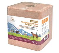 SALTEAN Compressed Himalayan Horses Lick Natural Pink Salt, with strong hanging Rope, No Starch Suitable for all Animals(5 kg) "Salt Range Pakistan"