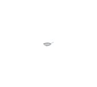 Salter 28 cm Griddle Pan NonStick Dishwasher Safe Induction Hob Suitable Grey