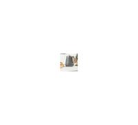 Salter Rapid Boil Kettle 1.7L Electric Cordless 360 Base AutoShut Off Grey 3KW