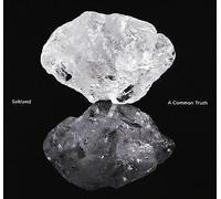 Saltland - A Common Truth