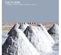 Saltland - I Thought It Was Us But It Was