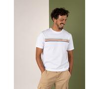 Saltrock Mens Torn Stripe T-Shirt White XL