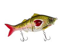 Saltwater Fishing Lures, Swimming Lures, Exquisite Bass Fishing Lures, Trout Lures, Innovative for Versatile and for Bass, Sea, Shallow Waters, Rivers, Deep Waters