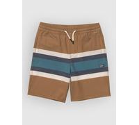 Salty Crew Crew Stripe Volley Swimming Shorts