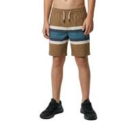 Salty Crew Crew Stripe Volley Swimming Shorts