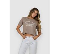 Salty Crew Even Keel Crop Short Sleeve T-shirt Brown M Woman