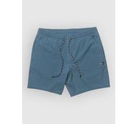 Salty Crew Seadog Volley Boardshorts hydro XXL