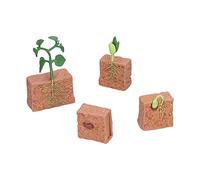 Saluaqui Educational Plant Growth Stage Model Toy - Life Cycle of Bean Plants for Kids Learning - Realistic Seed Development Process for School and Home Learning