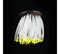 Saluaqui Simulation Silicone Luminous Sea Anemone Ornament, Artificial Fish Tank Coral with Suction Cup, for Aquarium Fish Tank Decoration (Yellow)