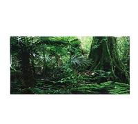 Saluaqui Stunning Rainforest Fish Tank Poster - Self Adhesive 61x30cm Aquarium Sticker for Reptile Box, PVC Non- Background Wall Decoration (122 * 46cm)