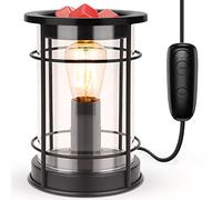 SALUBRITO Electric Wax Melt Burners with Timer, Metal Glass Wax Burners for Wax Melts, Wax Melter with 40W Edison Bulb for Home
