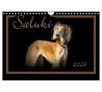 Saluki 2026 UK-Version (Wall Calendar 2026 DIN A4 Landscape), CALVENDO 12 Month Wall Calendar