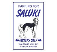 Saluki Dog Pet Parking Decals Hound Veterinarian Kennel Breeder 8X12 Inches