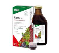 Salus-Haus Flora, Floradix Iron + Herbs, Natural Liquid Iron Supplement, 17 fl Ounce (500 ML)